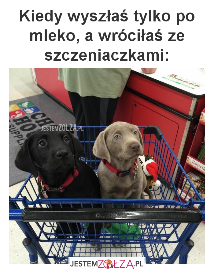 Kiedy wyszłaś tylko 