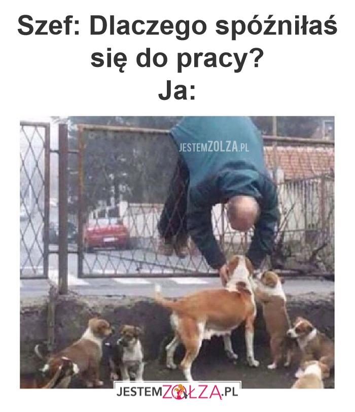 Szef: Dlaczego
