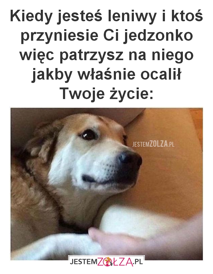 Kiedy jesteś leniwy