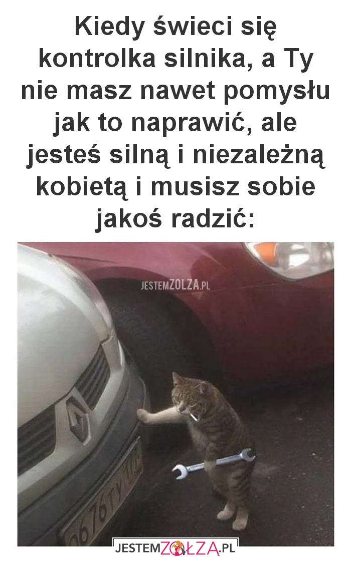Kiedy świeci się