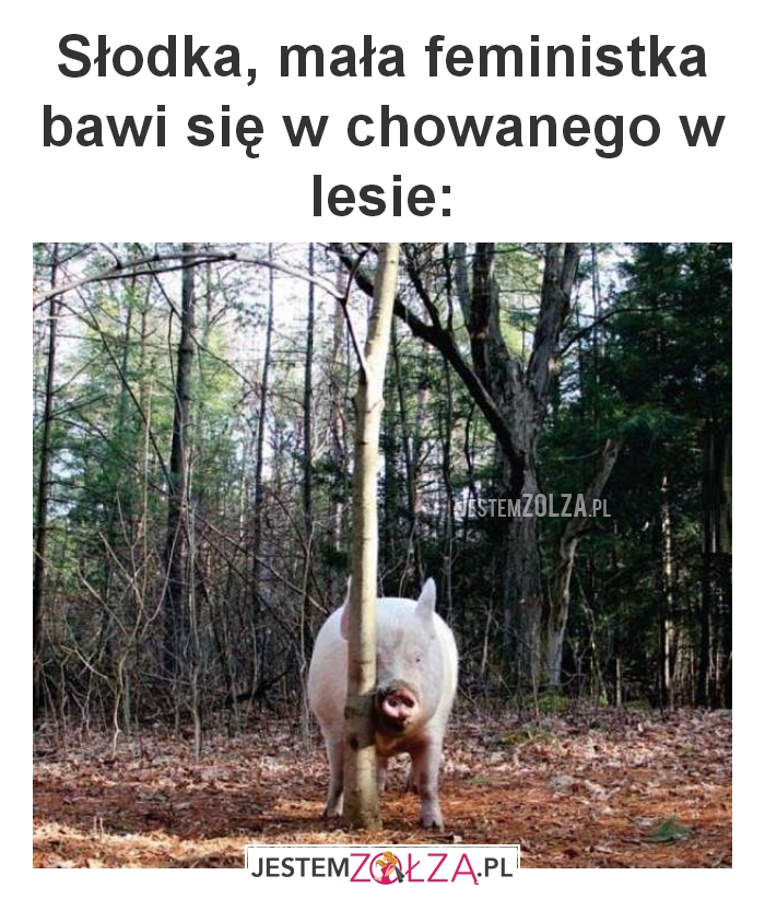 Słodka, mała feministka 