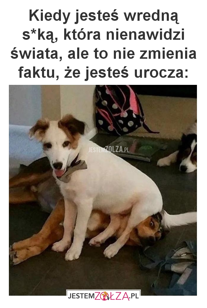 Kiedy jesteś wredną