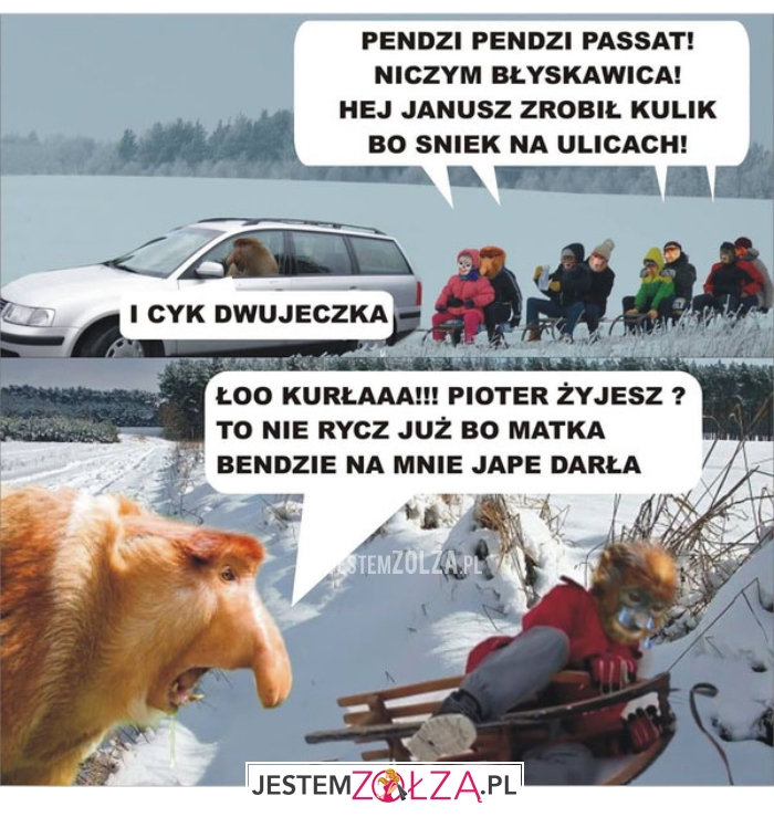 pendzi pendzi