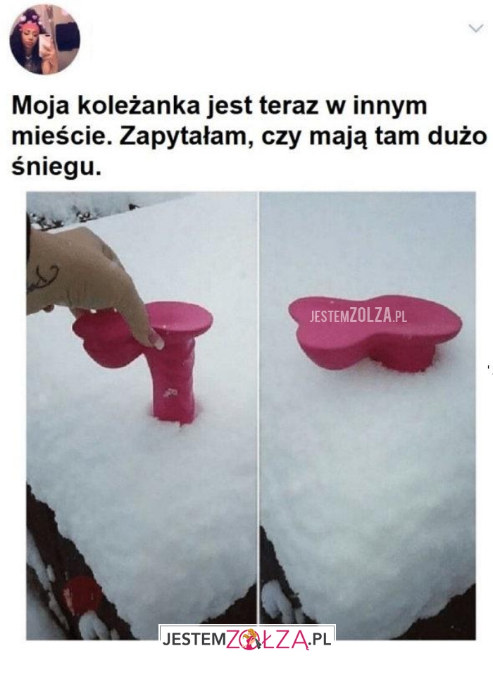 Moja koleżanka jest