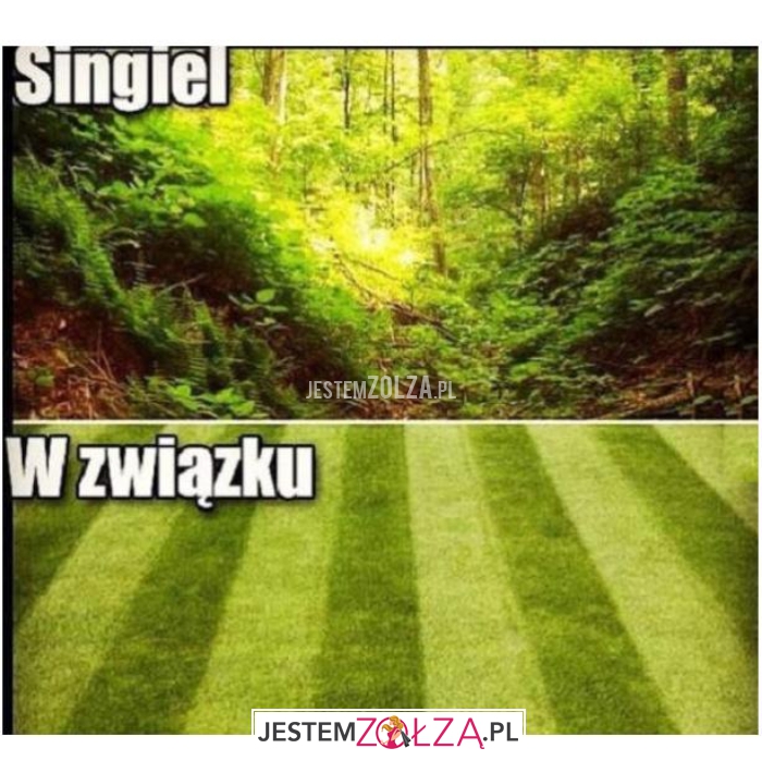 singiel, w związku