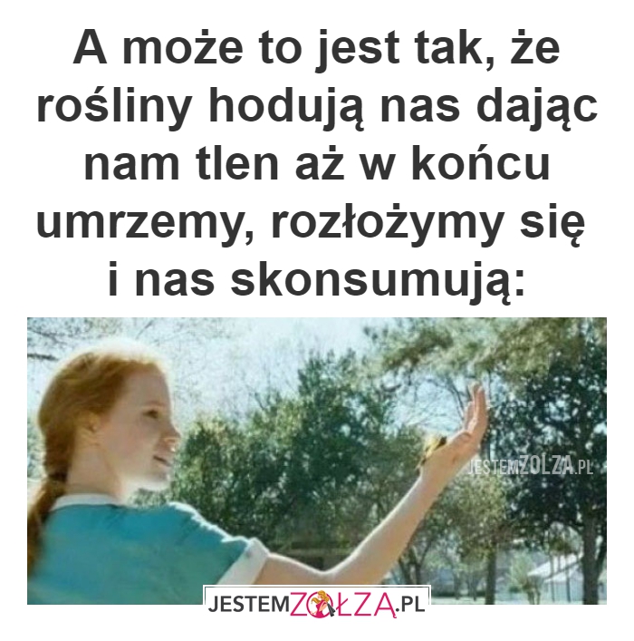 A może to