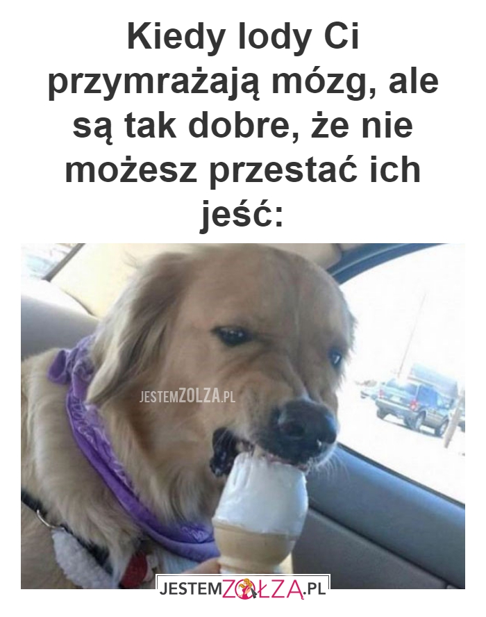Kiedy lody Ci 