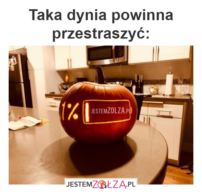 Taka dynia