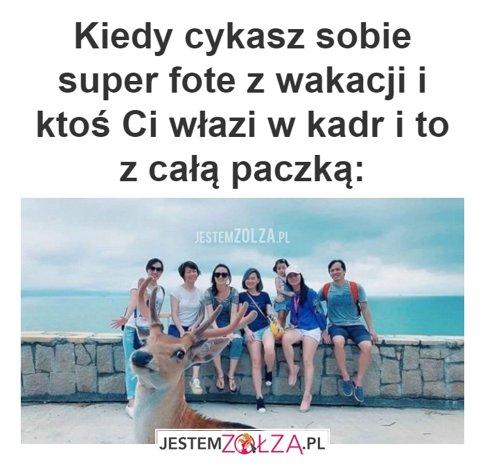 Kiedy cykasz 