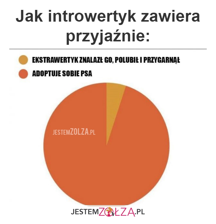 Jak introwertyk