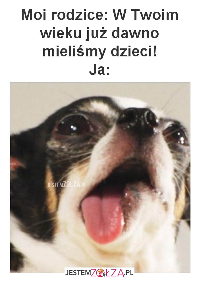 Moi rodzice: W Twoim w