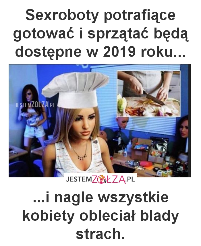 Sexroboty potrafiące gotować i sprzątać 
