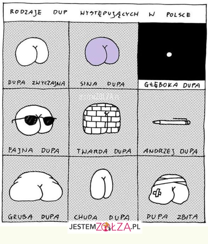 rodzaje dup