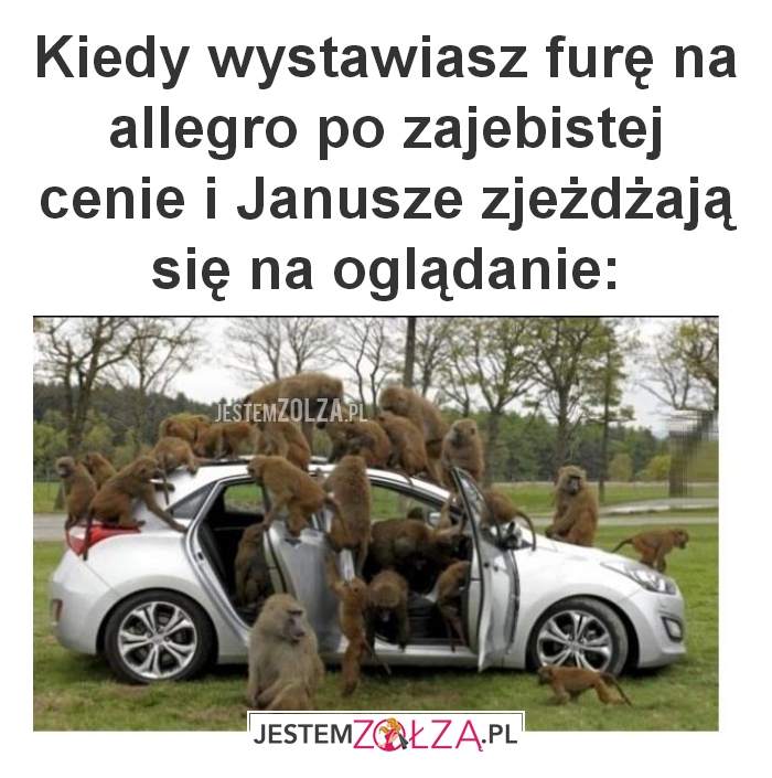 Kiedy wystawiasz furę 