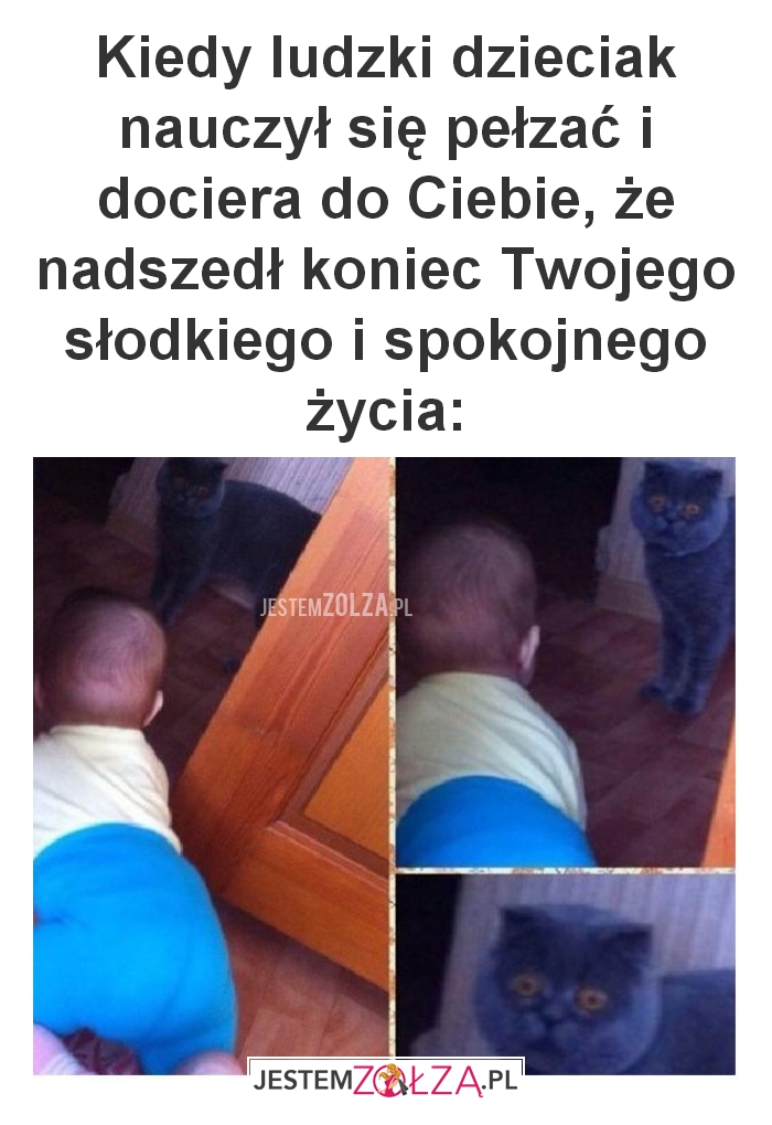 Kiedy ludzki dzieciak nauczył się