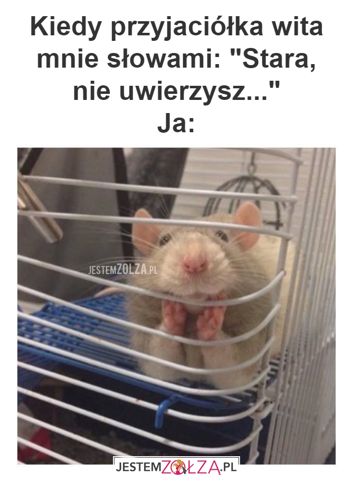 Kiedy przyjaciółka wita