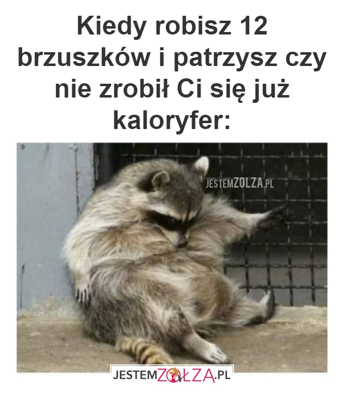 Kiedy robisz 12 brzuszków