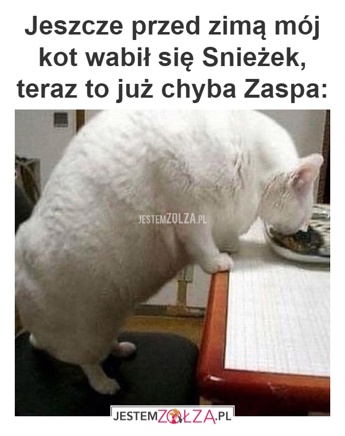 Jeszcze przed zimą