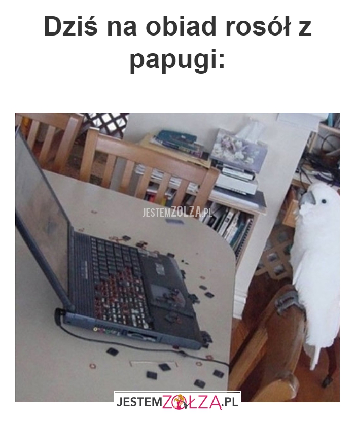 Dziś na obiad 