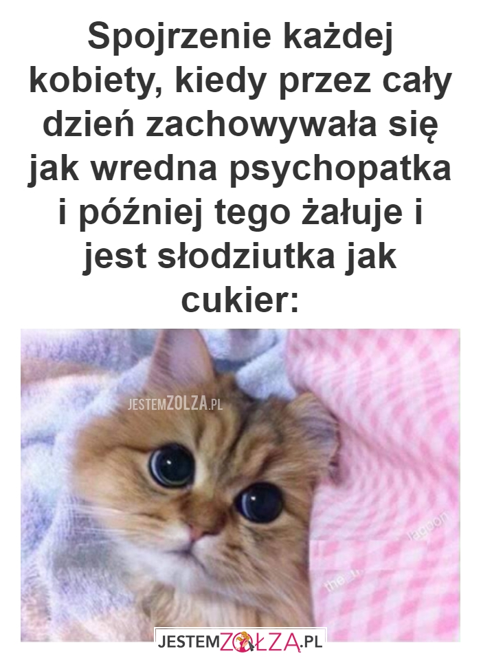 Spojrzenie...