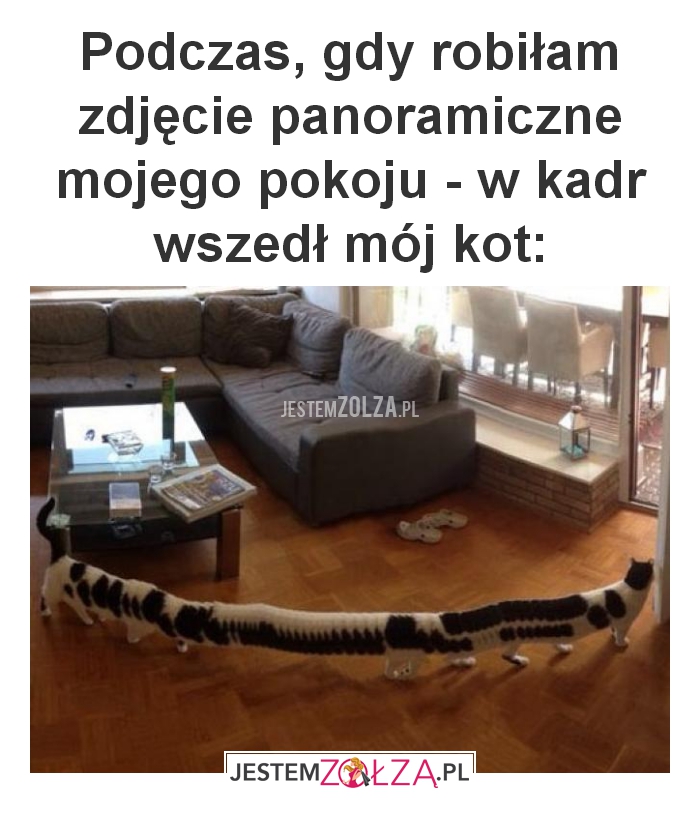 Podczas, gdy robiłam