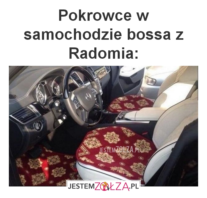 Pokrowce w samochodzie