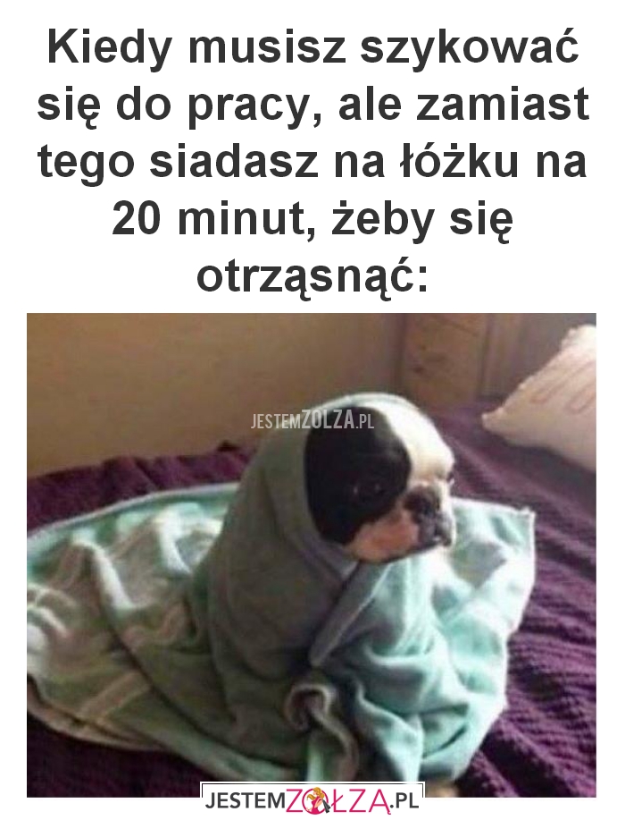 Kiedy musisz szykować się