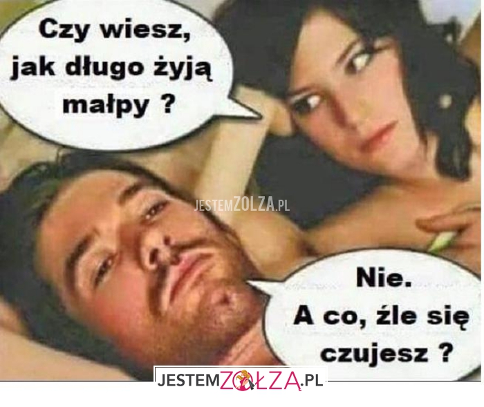 czy wiesz, jak