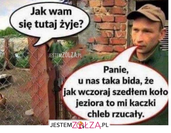 jak wam się tutaj