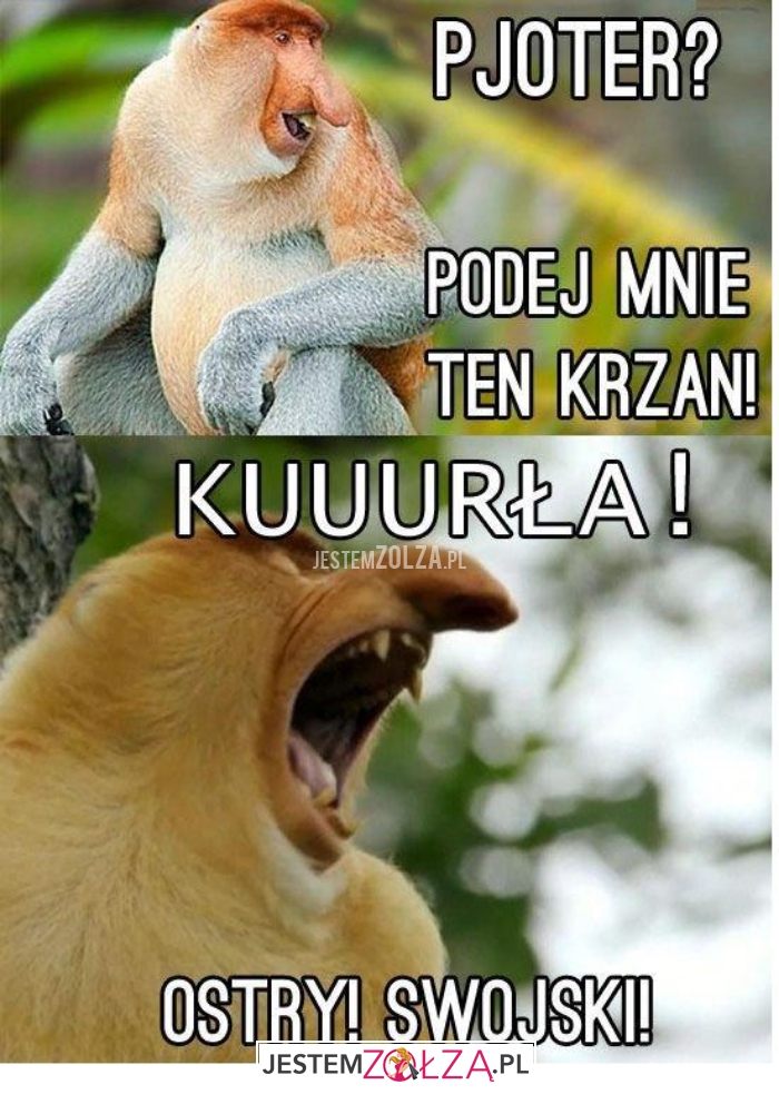 pjoter