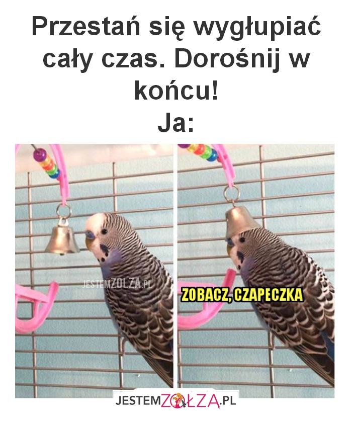 Przestań się wygłupiać