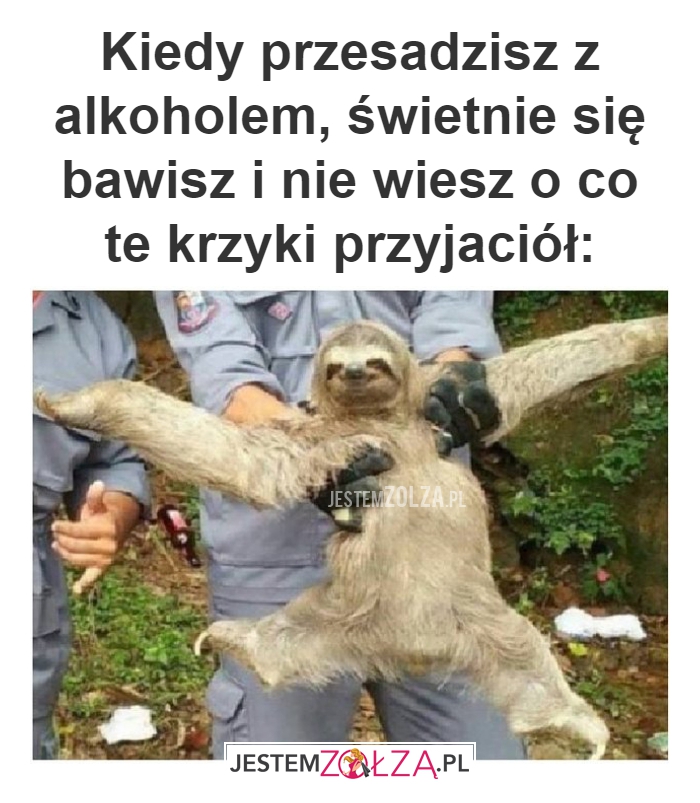 Kiedy przesadzisz z alkoholem