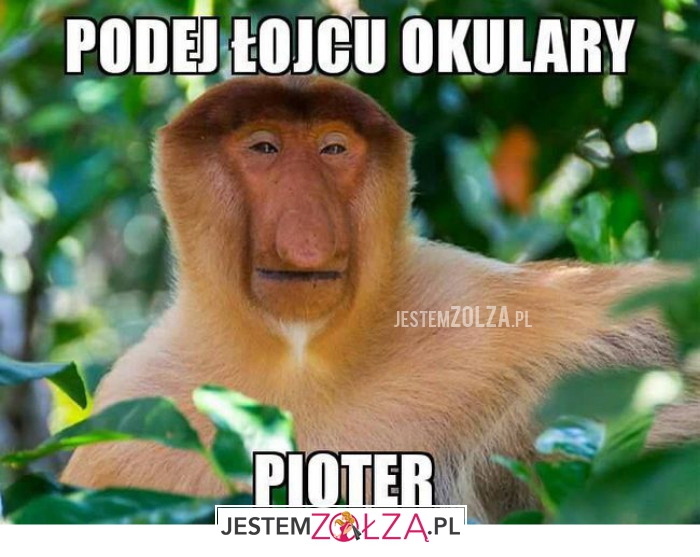 podej łojcu