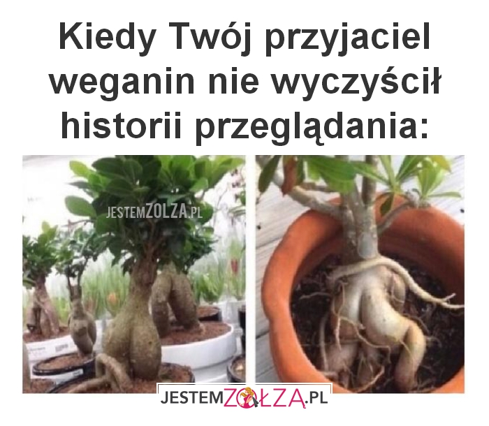 Kiedy Twój przyjaciel