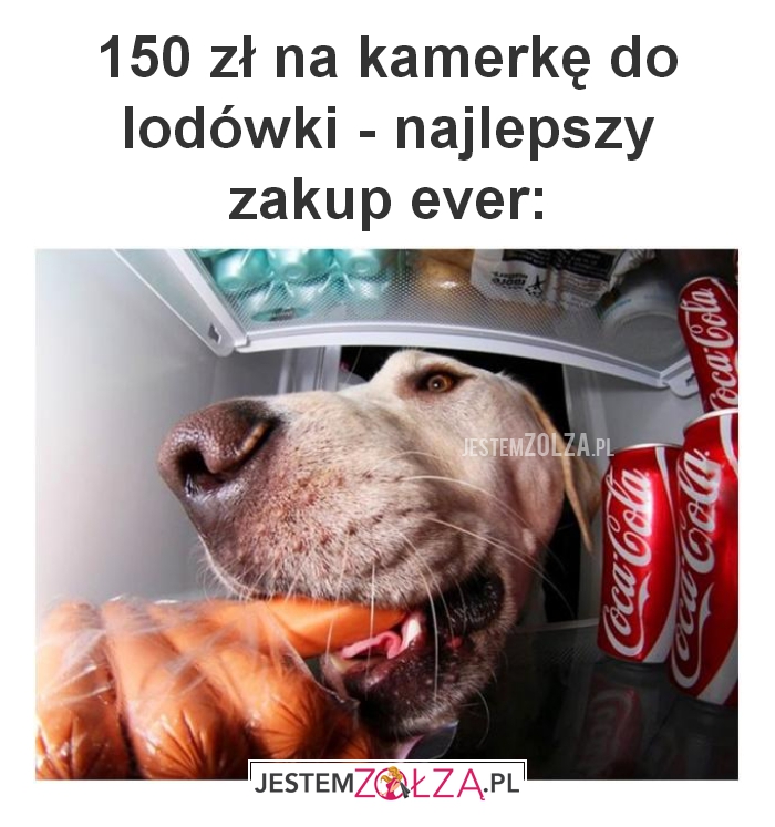 150 zł na kamerkę