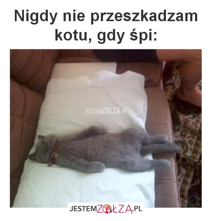 Nigdy nie przeszkadzam