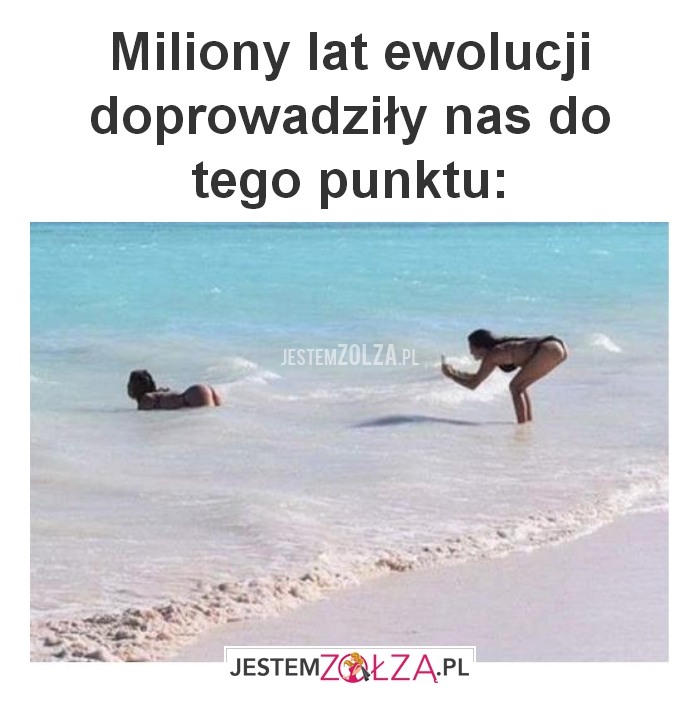 Miliony lat ewolucji 