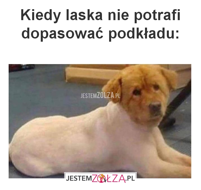 Kiedy laska nie potrafi