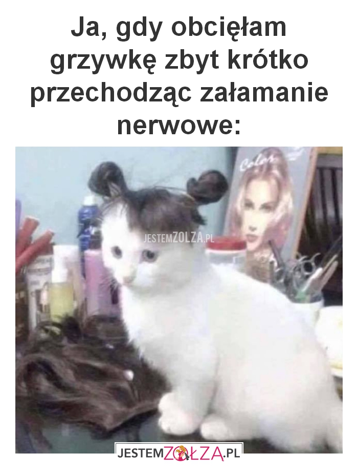 Ja, gdy obcięłam grzywkę