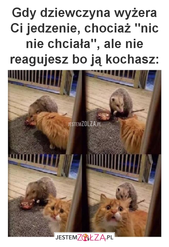 Gdy dziewczyna wyżera