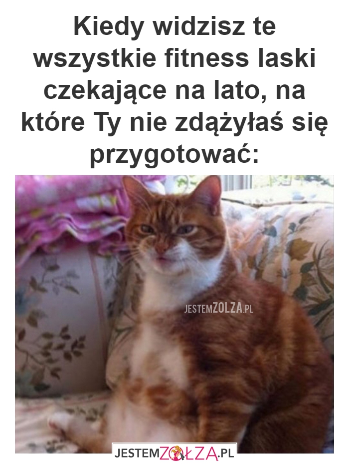 Kiedy widzisz te wszystkie 