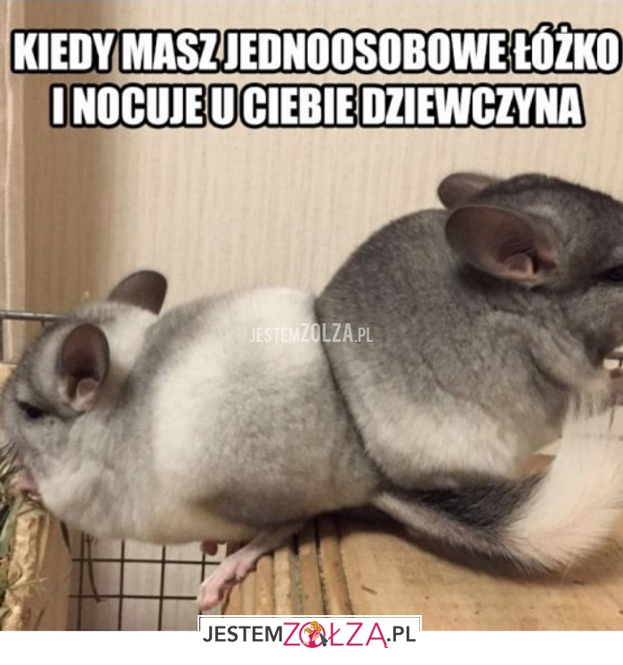 kiedy maszs jednoosobowe 