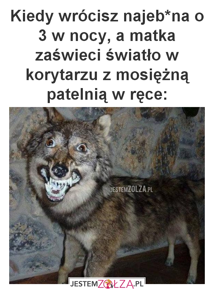 Kiedy wrócisz najeb*ana 