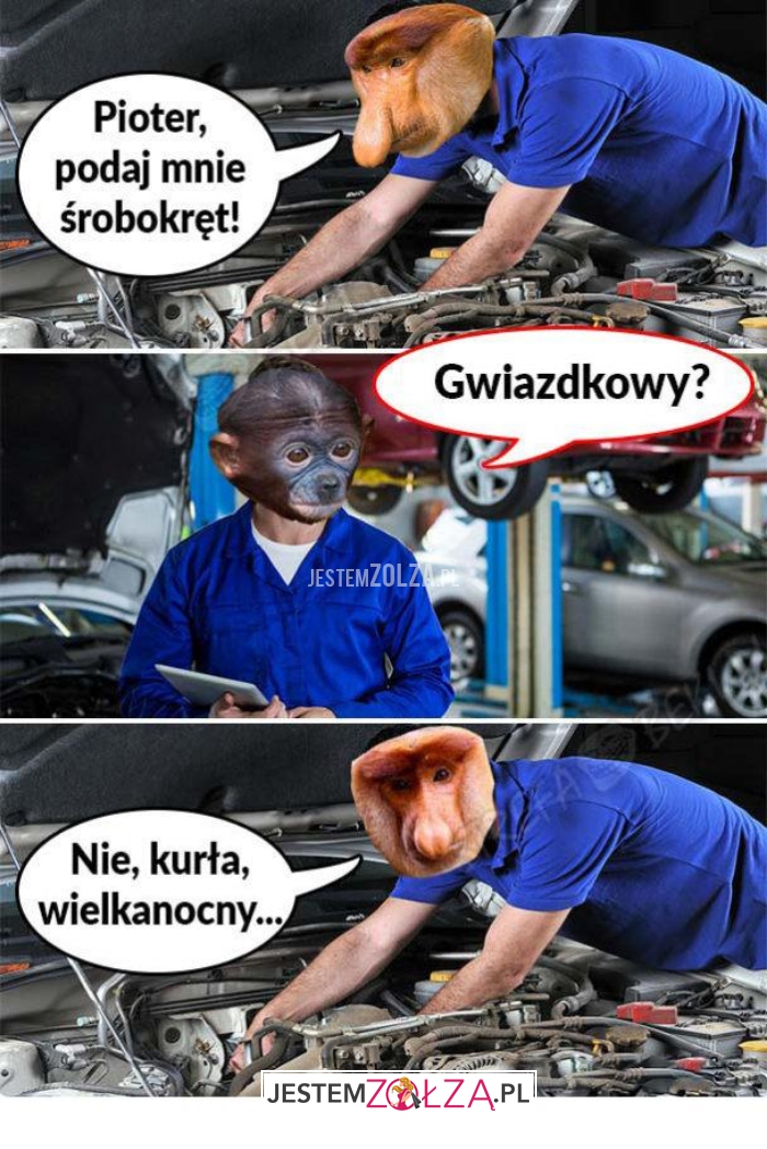 pjoter podaj mnie