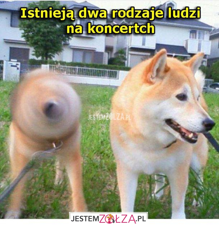 istnieją dwa rodzaje