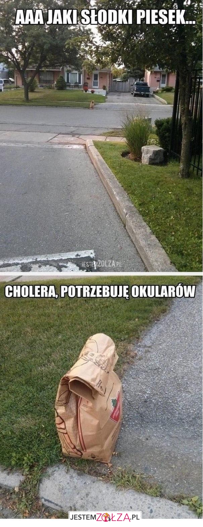 aaa jaki słodki piesek