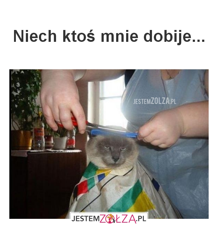  Niech ktoś mnie dobije