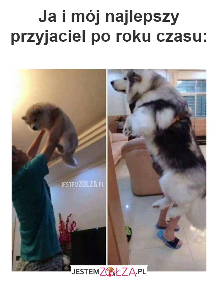 Ja i mój najlepszy przyjaciel 