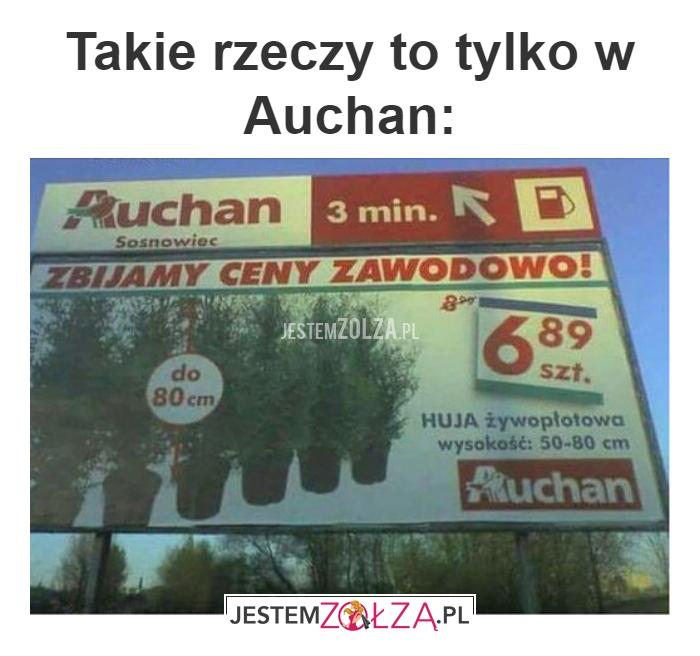 Takie rzeczy to tylko w Auchan