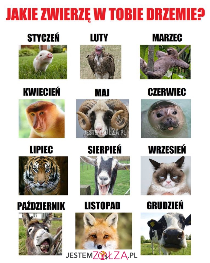 jakie zwierzę w tobie
